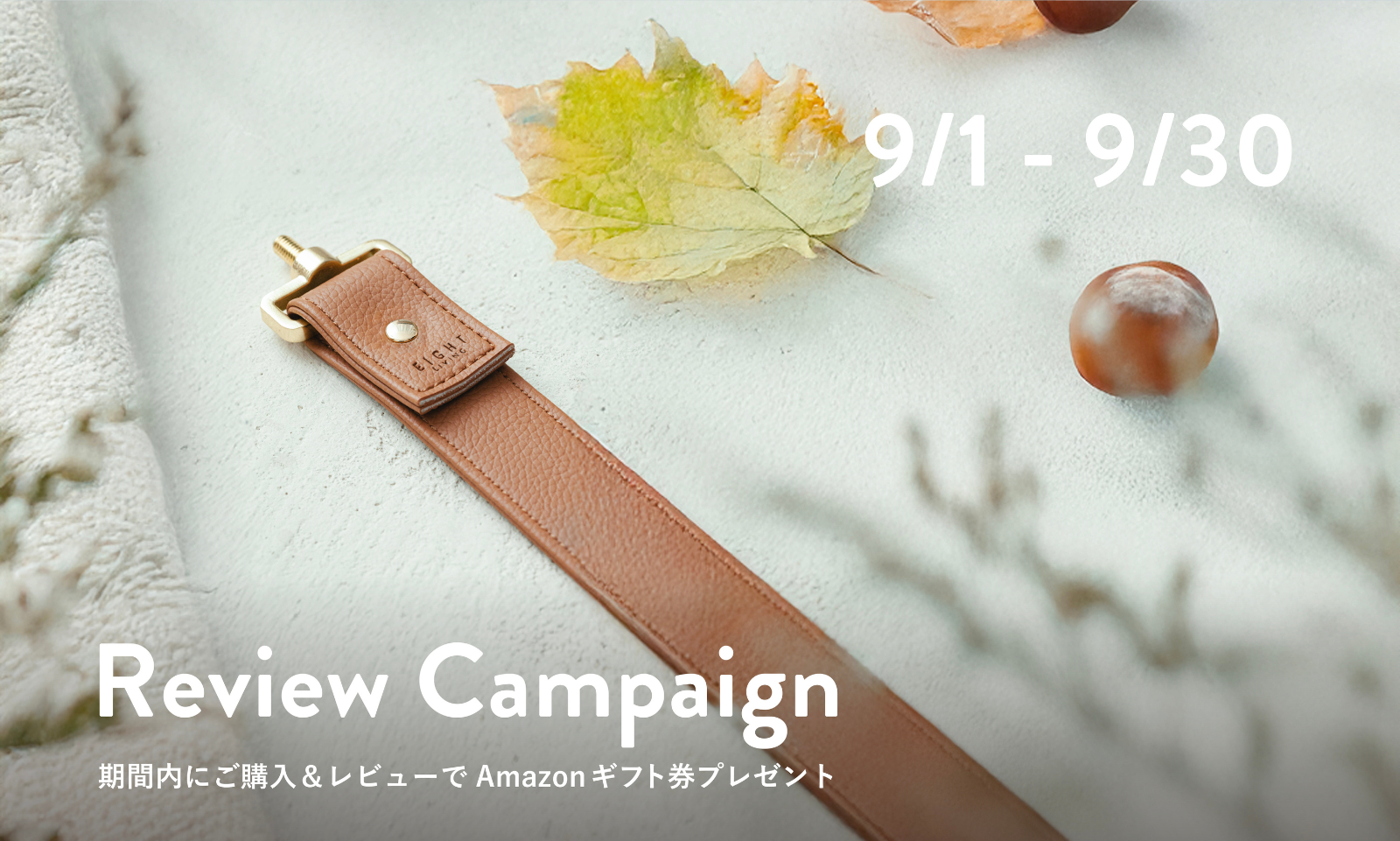 レビューキャンペーンのお知らせ